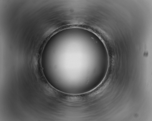 X0000102791257200808181251