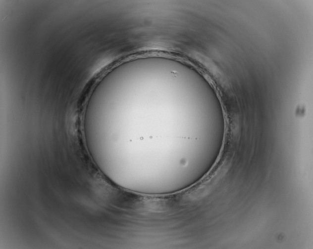 X0000102791258200808181251