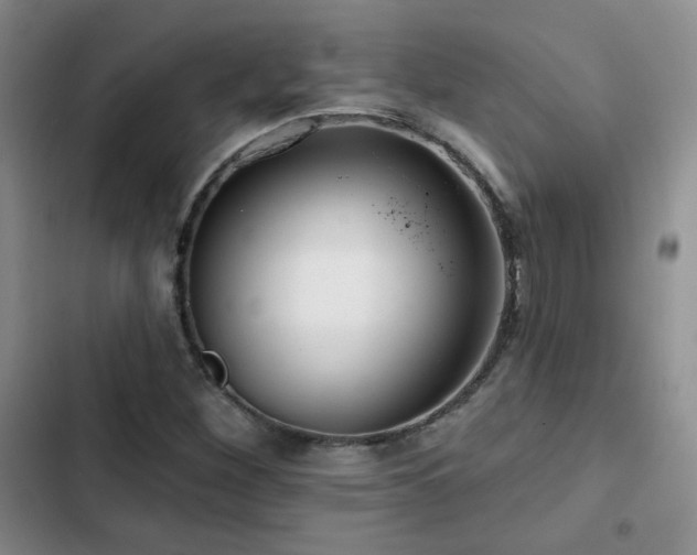 X0000102791260200808181251
