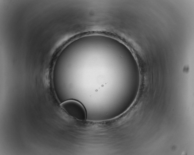X0000102791262200808181251
