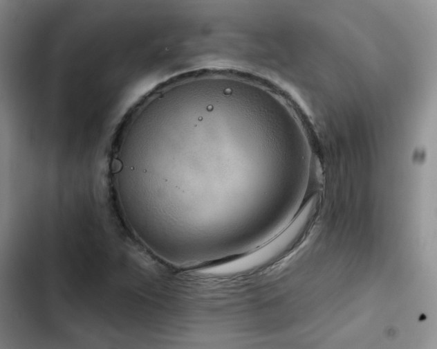 X0000102791263200808181251
