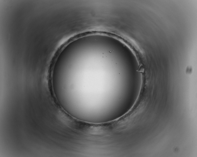 X0000102791264200808181251