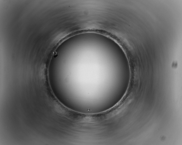 X0000102791265200808181251