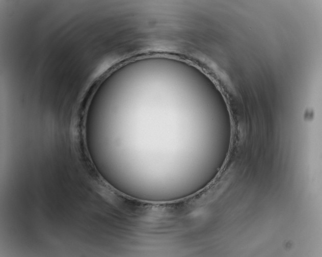 X0000102791266200808181251