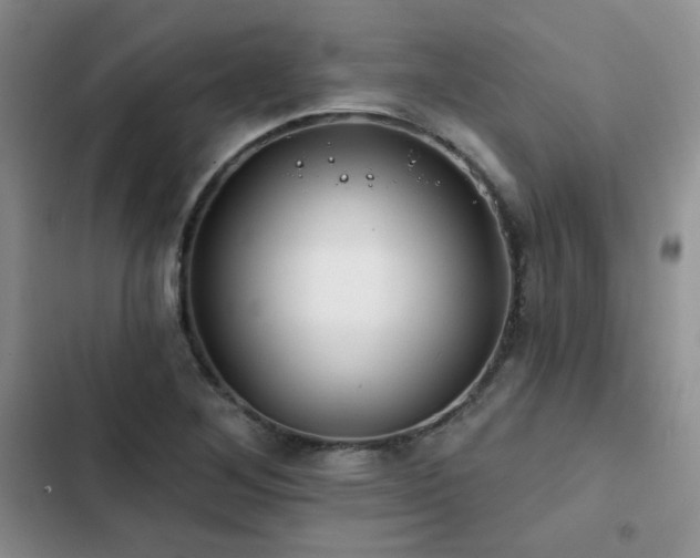 X0000102791268200808181251