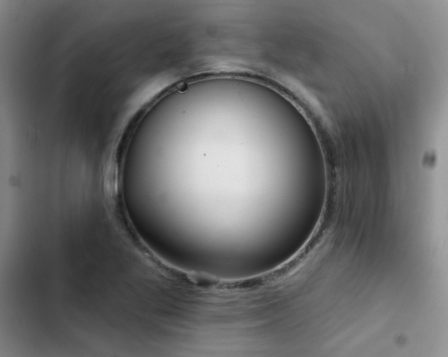X0000102791269200808181250