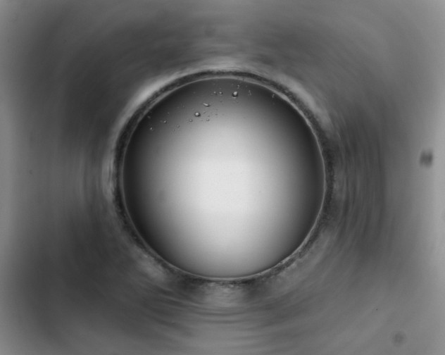X0000102791270200808181250