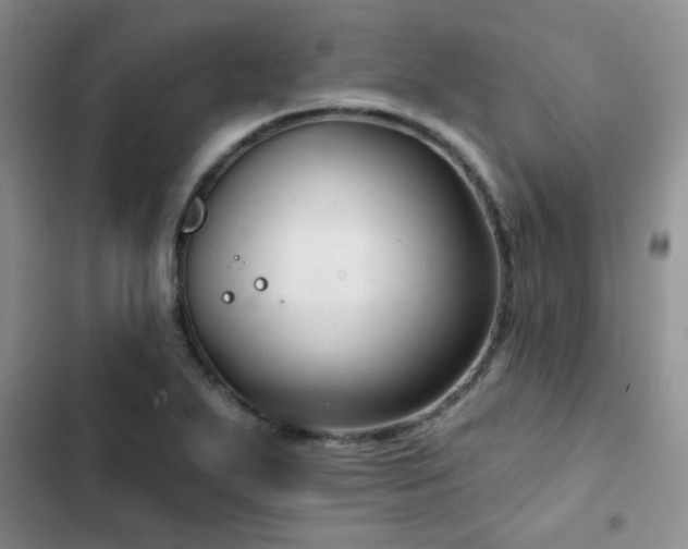 X0000102791271200808181250