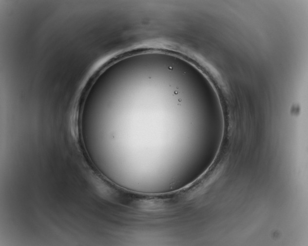 X0000102791272200808181250