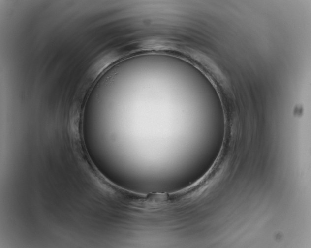 X0000102791273200808181250