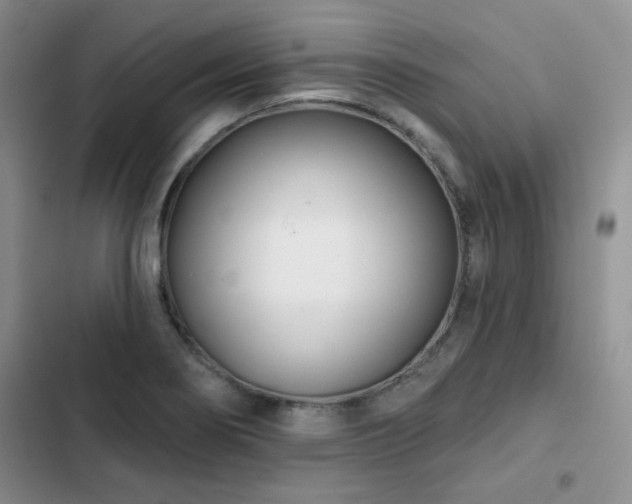 X0000102791274200808181250