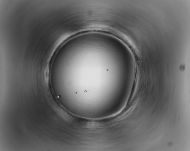X0000102791275200808181250