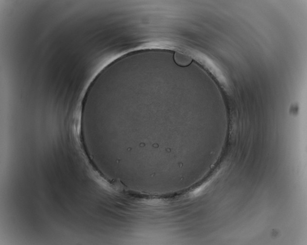 X0000102791276200808181250