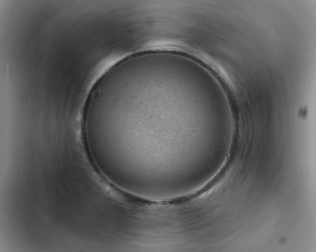 X0000102791277200808181250