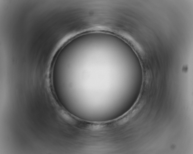 X0000102791278200808181250