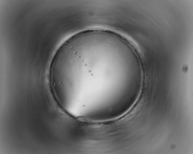 X0000102791279200808181250