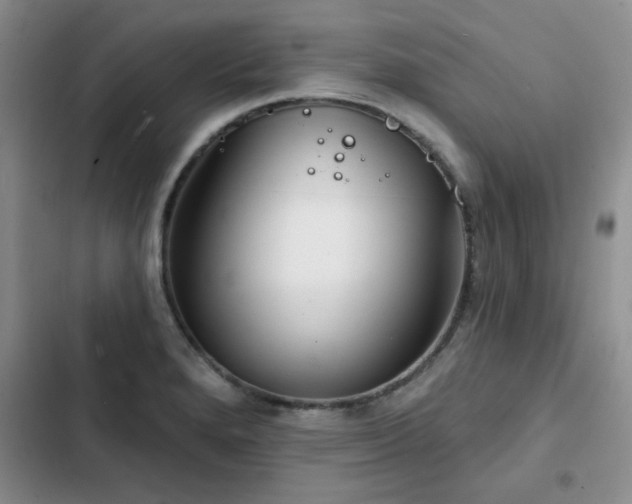 X0000102791280200808181250
