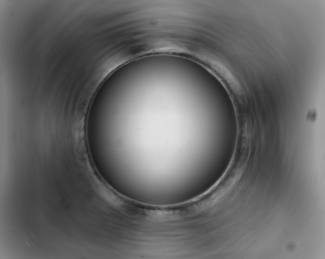 X0000102791281200808181250