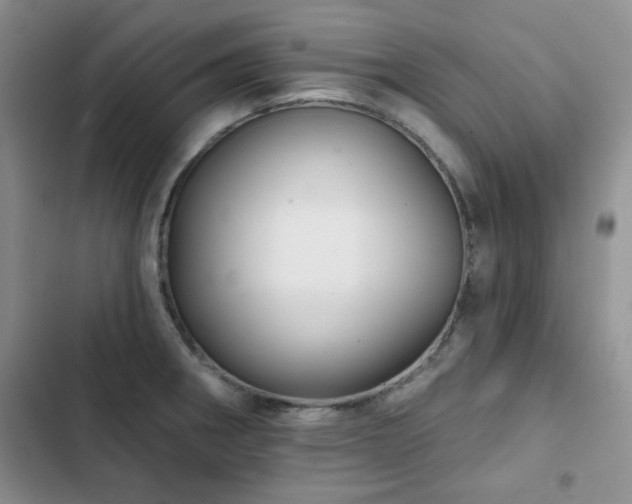 X0000102791282200808181250