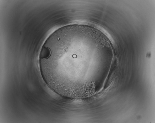X0000102791283200808181250