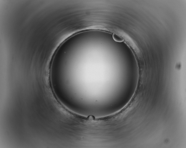 X0000102791284200808181250