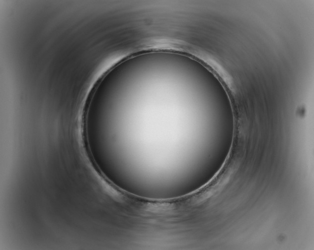 X0000102791285200808181250