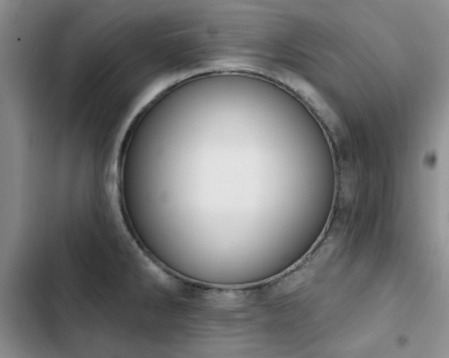 X0000102791286200808181250