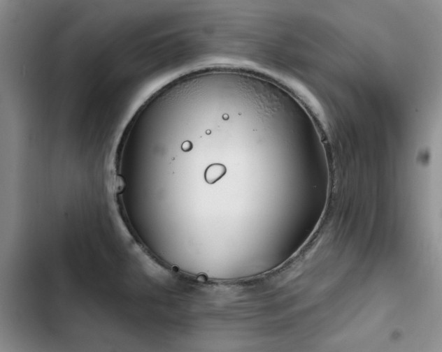 X0000102791287200808181250
