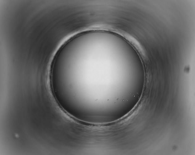 X0000102791288200808181250