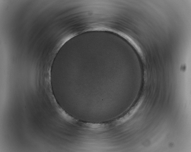 X0000102791289200808181250