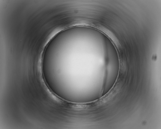 X0000102791290200808181250