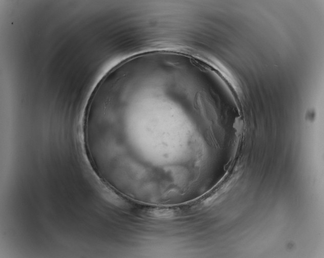 X0000102791291200808181250