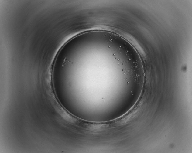 X0000102791292200808181250