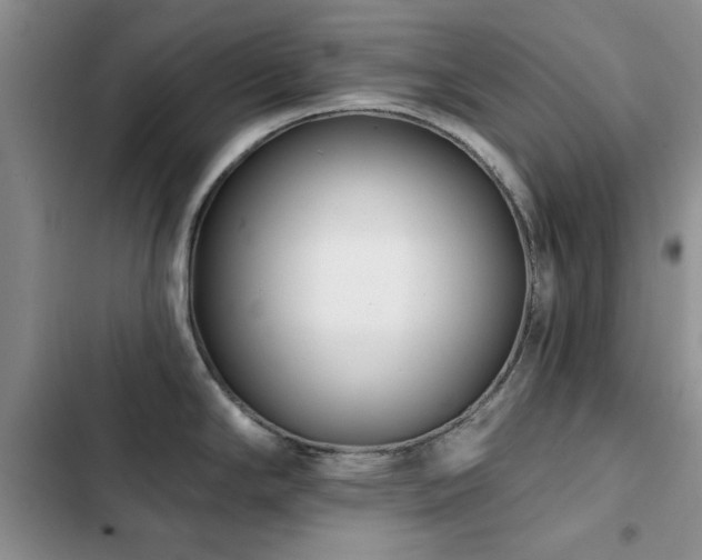 X0000102791294200808181250