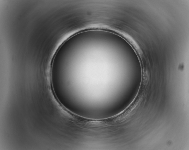 X0000102791295200808181250