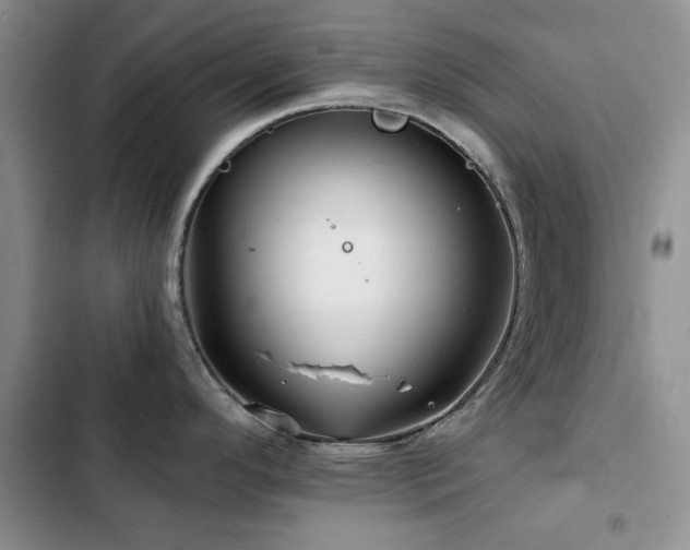 X0000102791296200808181250