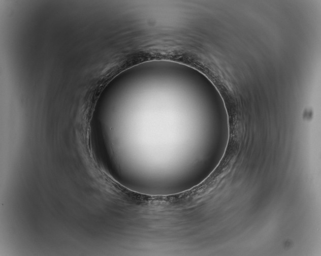 X0000102791297200808181249