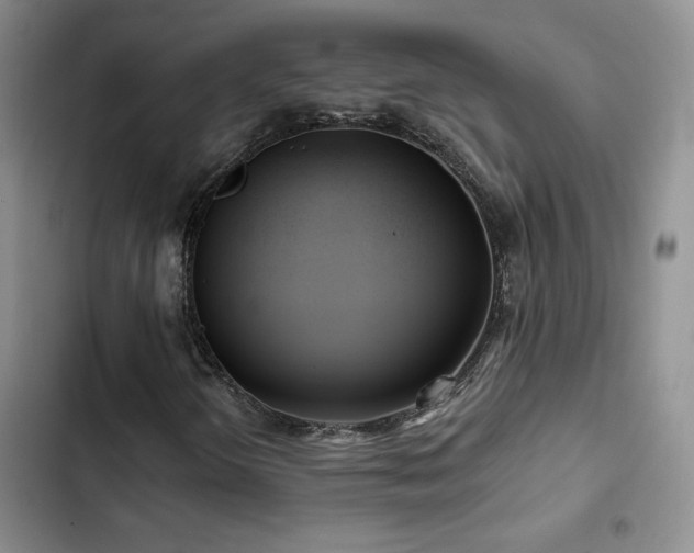 X0000102791298200808181249