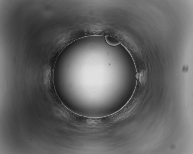 X0000102791299200808181249