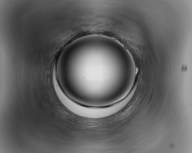 X0000102791300200808181250
