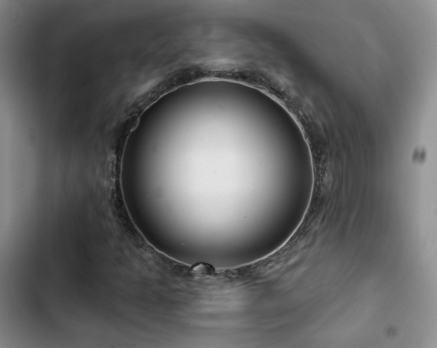 X0000102791301200808181250