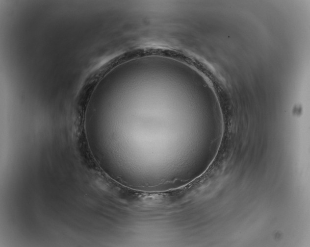 X0000102791303200808181250
