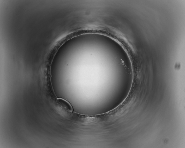 X0000102791304200808181250