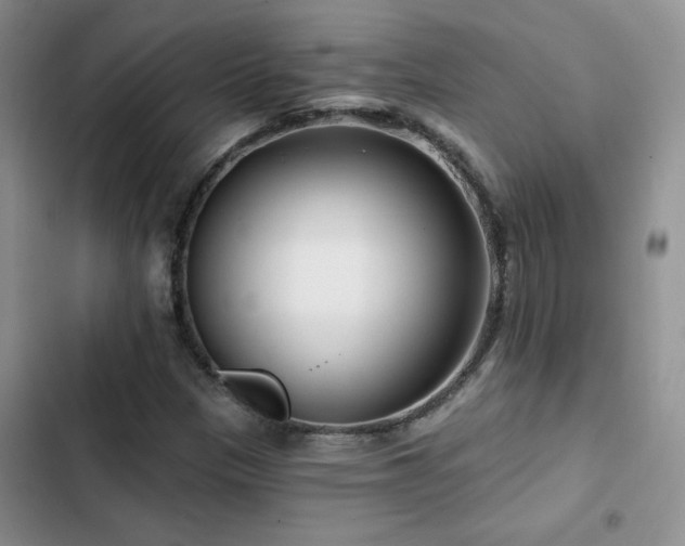 X0000102791305200808181250