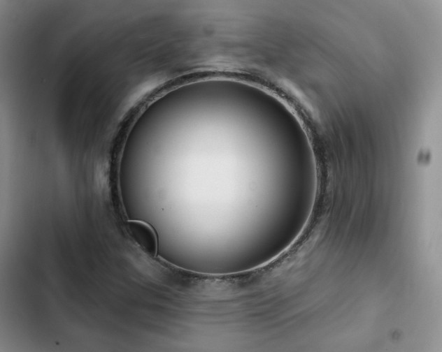 X0000102791307200808181250