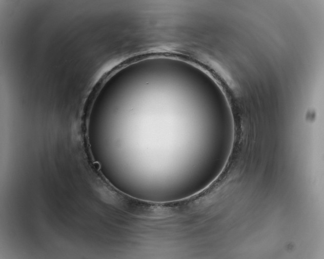 X0000102791308200808181250