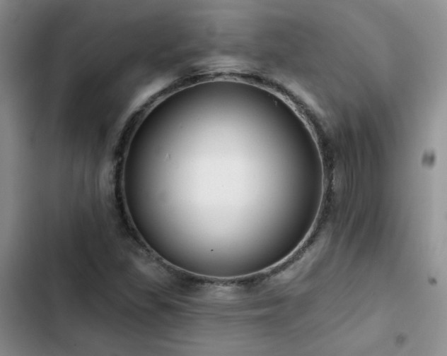 X0000102791309200808181250