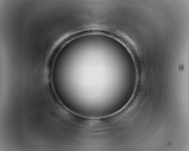 X0000102791310200808181250
