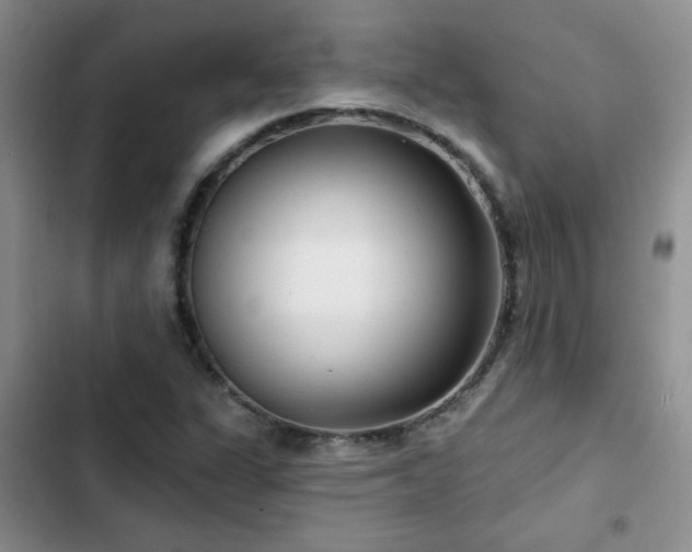 X0000102791311200808181250