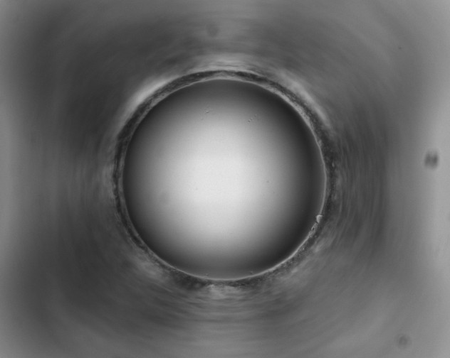 X0000102791312200808181250